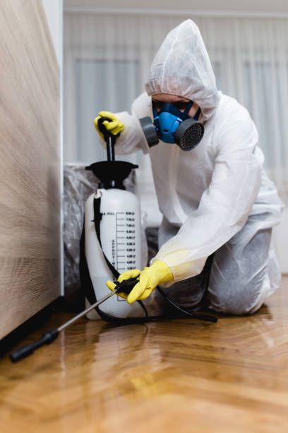 Best Fumigation Services  in Union Beach, NJ